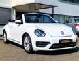 Volkswagen Beetle Beetle Cabrio 2.0 TSI Autom. Kamera, Freisprech Weiß - thumbnail 3