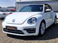 Volkswagen Beetle Beetle Cabrio 2.0 TSI Autom. Kamera, Freisprech Weiß - thumbnail 8