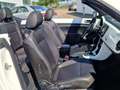 Volkswagen Beetle Beetle Cabrio 2.0 TSI Autom. Kamera, Freisprech Weiß - thumbnail 7