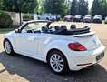 Volkswagen Beetle Beetle Cabrio 2.0 TSI Autom. Kamera, Freisprech Weiß - thumbnail 5