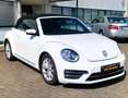 Volkswagen Beetle Beetle Cabrio 2.0 TSI Autom. Kamera, Freisprech Weiß - thumbnail 10