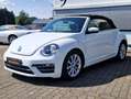 Volkswagen Beetle Beetle Cabrio 2.0 TSI Autom. Kamera, Freisprech Weiß - thumbnail 9