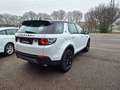 Land Rover Discovery Sport Discovery Sport 2.0 Si4 Pure Weiß - thumbnail 7