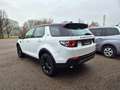 Land Rover Discovery Sport Discovery Sport 2.0 Si4 Pure Weiß - thumbnail 5