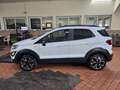 Ford EcoSport 1.0 ecoboost Active s&s 125cv - thumbnail 1