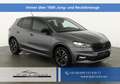 Skoda Fabia Monte Carlo 1.0 TSI DSG Carlo, ACC, Kamera, Win... Grijs - thumbnail 1