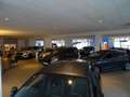 Ford Kuga ST-Line X LED+Glasdach+Kamera+Navi+SHZ Gris - thumbnail 17