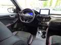Ford Kuga ST-Line X LED+Glasdach+Kamera+Navi+SHZ Gris - thumbnail 8
