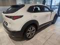 Mazda CX-30 X180 AWD GT+ Aut. Weiß - thumbnail 5