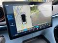 BYD Dolphin Design Albastru - thumbnail 15