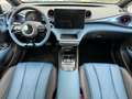 BYD Dolphin Design Albastru - thumbnail 7