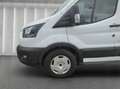 Ford Transit Trend Kasten L3 | AUT | Klimaaut. | GRA | KAMERA | Blanco - thumbnail 9