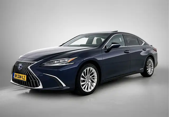 Lexus ES 300 300h President Line | Mark Levinson Audio | Head-u