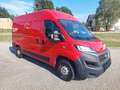 Fiat Ducato Ducato 33 L2H2 120 Rot - thumbnail 4