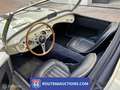 Austin-Healey 100 100M | 1956 | Route 66 Auctions Schwarz - thumbnail 2