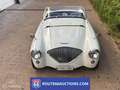 Austin-Healey 100 100M | 1956 | Route 66 Auctions Schwarz - thumbnail 3