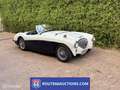 Austin-Healey 100 100M | 1956 | Route 66 Auctions Schwarz - thumbnail 4