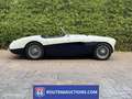 Austin-Healey 100 100M | 1956 | Route 66 Auctions Schwarz - thumbnail 5