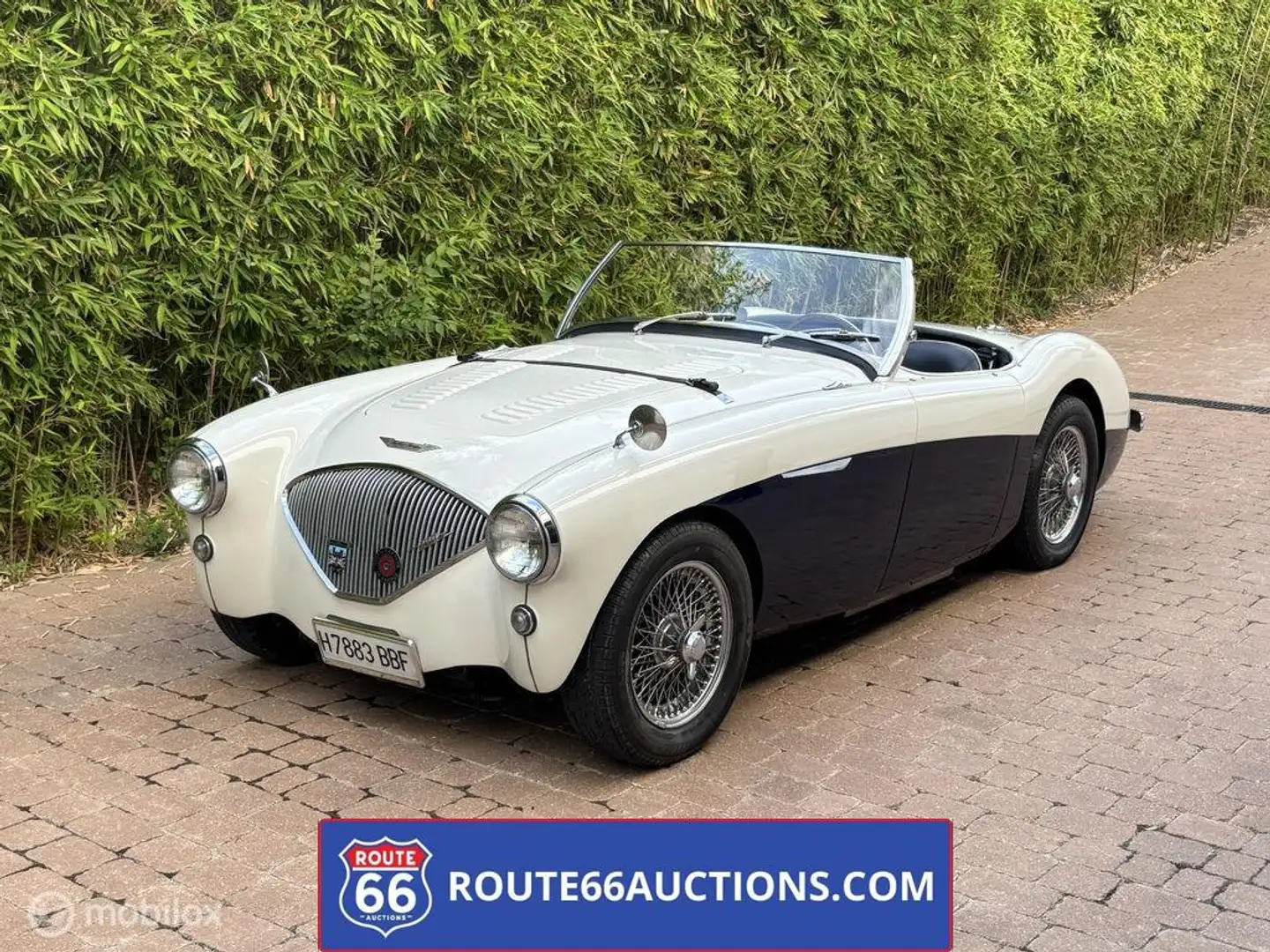 Austin-Healey 100 100M | 1956 | Route 66 Auctions Schwarz - 1
