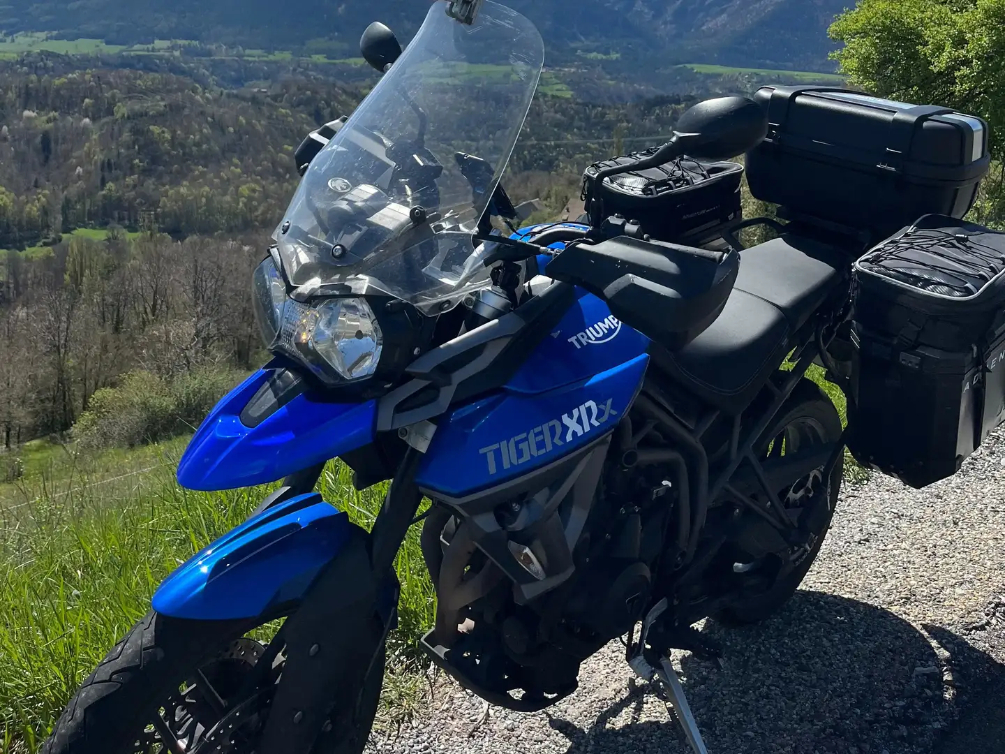 Triumph Tiger 800 XRx Blu/Azzurro - 1
