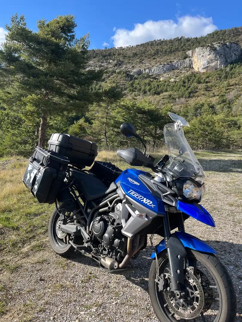 Triumph Tiger 800 XRx Blu/Azzurro - 2