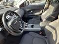 Land Rover Range Rover Evoque Range Rover Evoque 2.0 TD4 150 CV 5p. Business Edition Pure Weiß - thumbnail 5