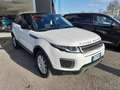 Land Rover Range Rover Evoque Range Rover Evoque 2.0 TD4 150 CV 5p. Business Edition Pure Weiß - thumbnail 2