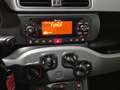Fiat Panda Panda III 2021 1.0 firefly hybrid City Life s Grigio - thumbnail 9