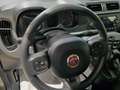 Fiat Panda Panda III 2021 1.0 firefly hybrid City Life s Grigio - thumbnail 10
