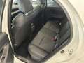 Mazda 2 Mazda2 Hybrid 1.5 VVT e-CVT Homura Plus con  TETT Wit - thumbnail 6