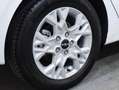 Kia Ceed / cee'd 1.6 MHEV iMT Drive 136 Weiß - thumbnail 4