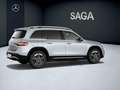 Mercedes-Benz EQB 250 + Argent - thumbnail 20