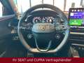 CUPRA Terramar VZ 2.0 TSI 265 PS DSG 4Drive AHK*SENNH* Zwart - thumbnail 6