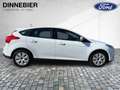 Ford Focus * Klima*Winterpaket*PDC-hinten*2.Hand Blanc - thumbnail 6