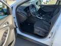 Ford Focus * Klima*Winterpaket*PDC-hinten*2.Hand Blanc - thumbnail 9