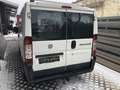 Fiat Ducato Kasten 28 100 - thumbnail 9