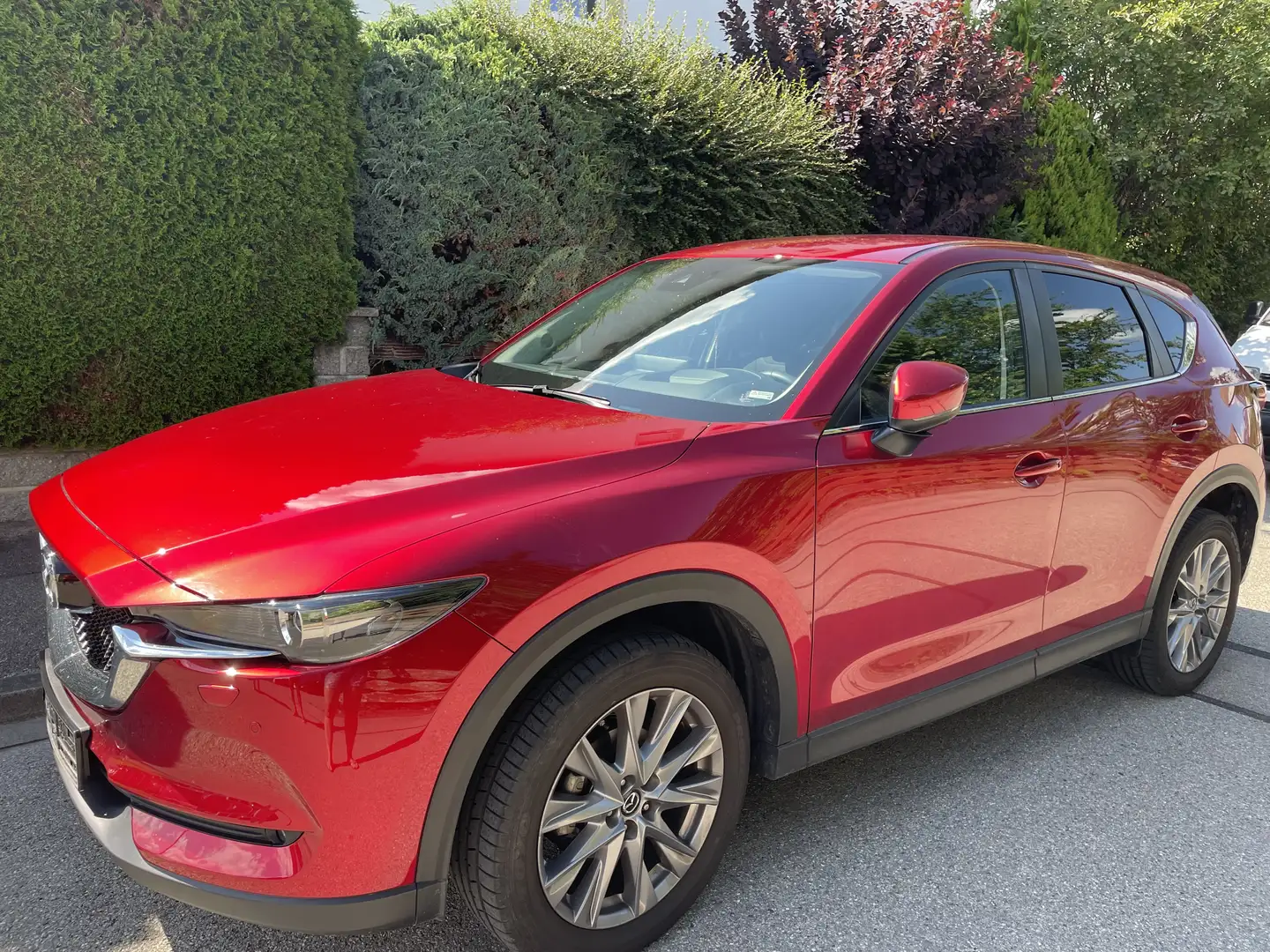 Mazda CX-5 Ad'vantage 2WD Rot - 1