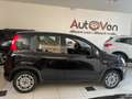 Fiat Panda Panda III 2021 1.0 firefly hybrid City Life s Noir - thumbnail 3