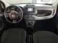 Fiat Panda Panda III 2021 1.0 firefly hybrid City Life s Noir - thumbnail 12