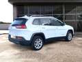 Jeep Cherokee 2.2 DIESEL 185 CV Limited auto Wit - thumbnail 6
