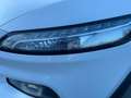 Jeep Cherokee 2.2 DIESEL 185 CV Limited auto Wit - thumbnail 28