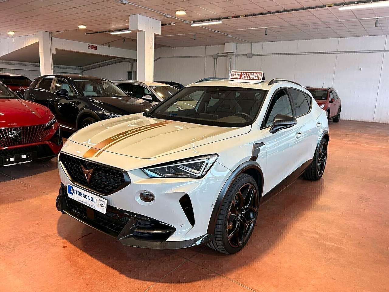 CUPRA Formentor TAIGA GREY 2.5 TSI 4Drive DSG VZ5 n 456