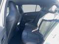 Volkswagen Golf Sport mHEV TSI DSG Weiß - thumbnail 11