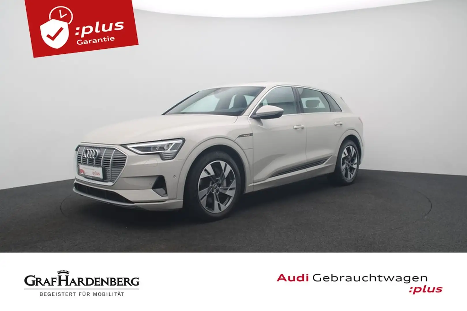 Audi e-tron 55 quattro Virt.Cockpit LED Navi HuD Бежевий - 1