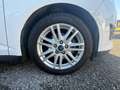 Ford C-Max C-Max 1.6 tdci Business 115cv Manuale 6 Marce Bianco - thumbnail 19