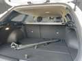 Kia Ceed SW / cee'd SW Ceed Sportswagon 1.5T-GDI Vision Kamer*Navi*Sitzh Weiß - thumbnail 6