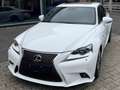 Lexus IS 300 IS 300h 2.5i F-Sport Line E-CVT Weiß - thumbnail 1