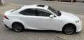 Lexus IS 300 IS 300h 2.5i F-Sport Line E-CVT Weiß - thumbnail 3