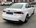Lexus IS 300 IS 300h 2.5i F-Sport Line E-CVT Weiß - thumbnail 4