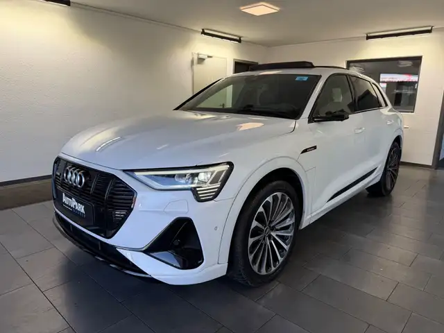 Audi e-tron SB 55 | S line | HUD | Nacht | Virtuell